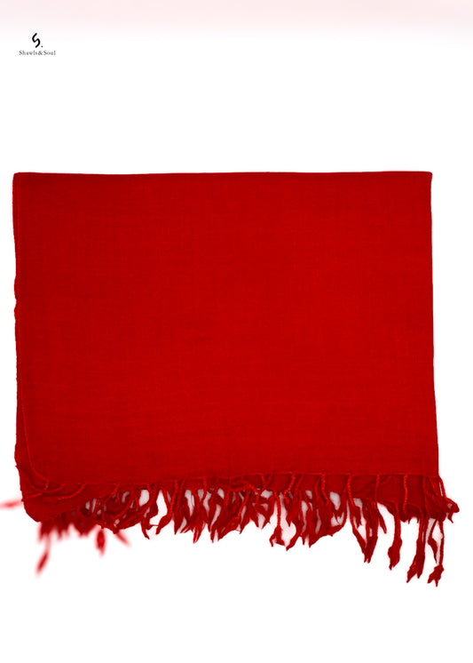 Plain Swati Pashmina B