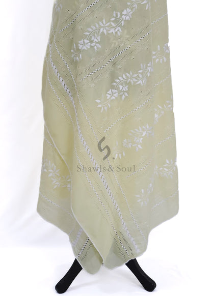 Zarina Drape F