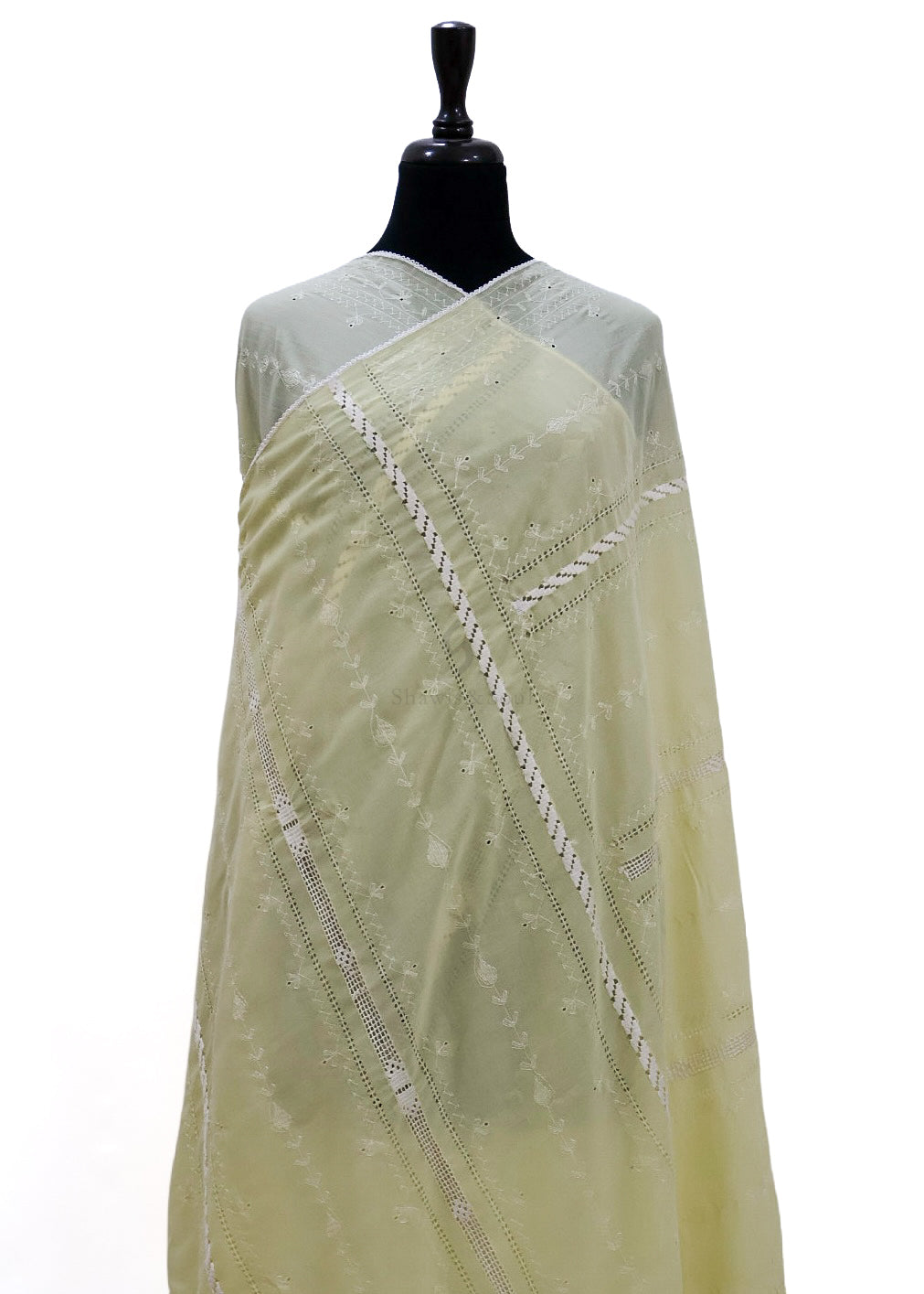 Taarkashi Grace A