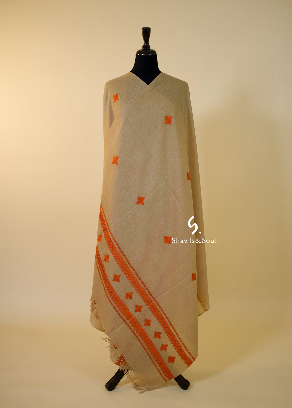 Swati Dastkaar B